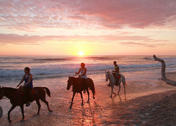 Horseback Riding