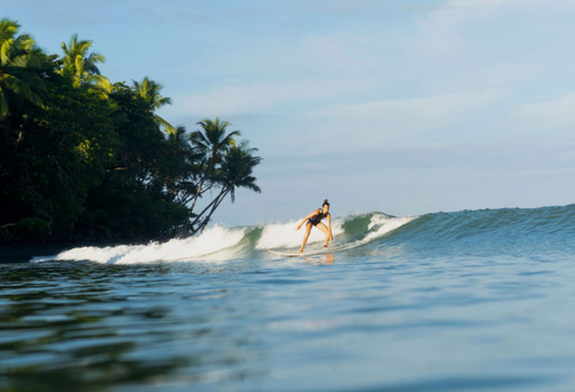 Surf Lessons